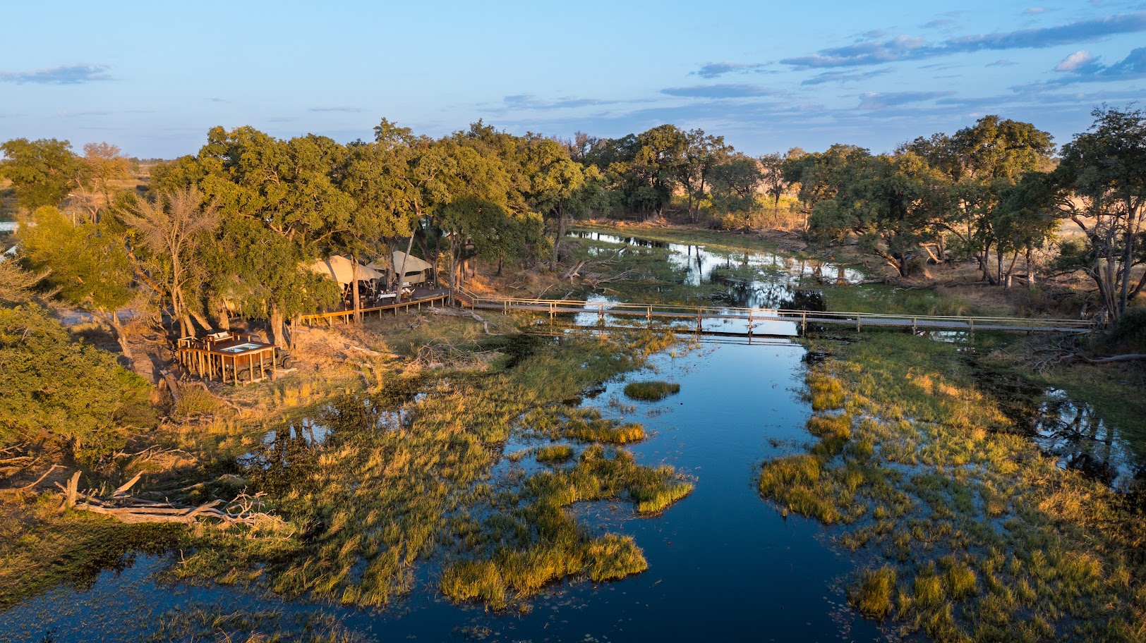 Wildlife viewing during a sunrise safari in Africa